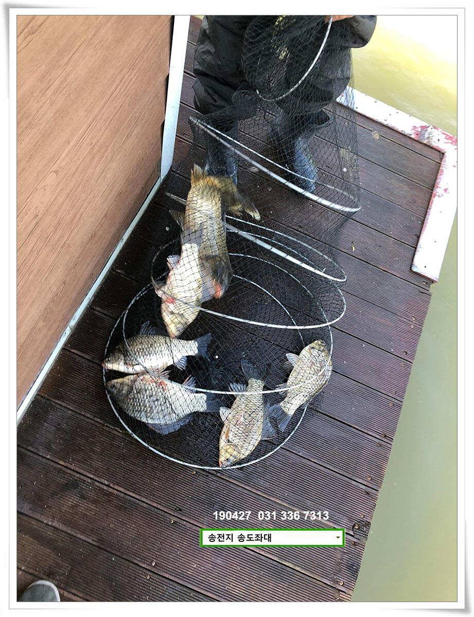 송전지 송도좌대 조황 (유료터정보 - 유료터점주조황)