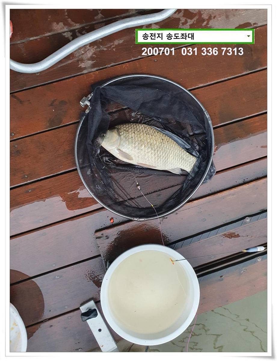 미약한 오름 송전지 송도좌대 조황 (유료터정보 - 유료터점주조황)