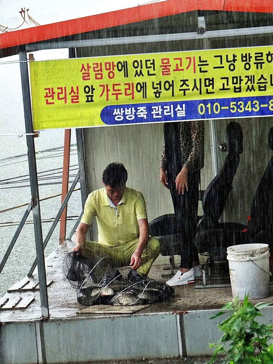 경기도 포천 쌍방죽낚시터 7월 첫째주 소식이갑철 마이웨이 촬영 (유료터정보 - 유료터점주조황)