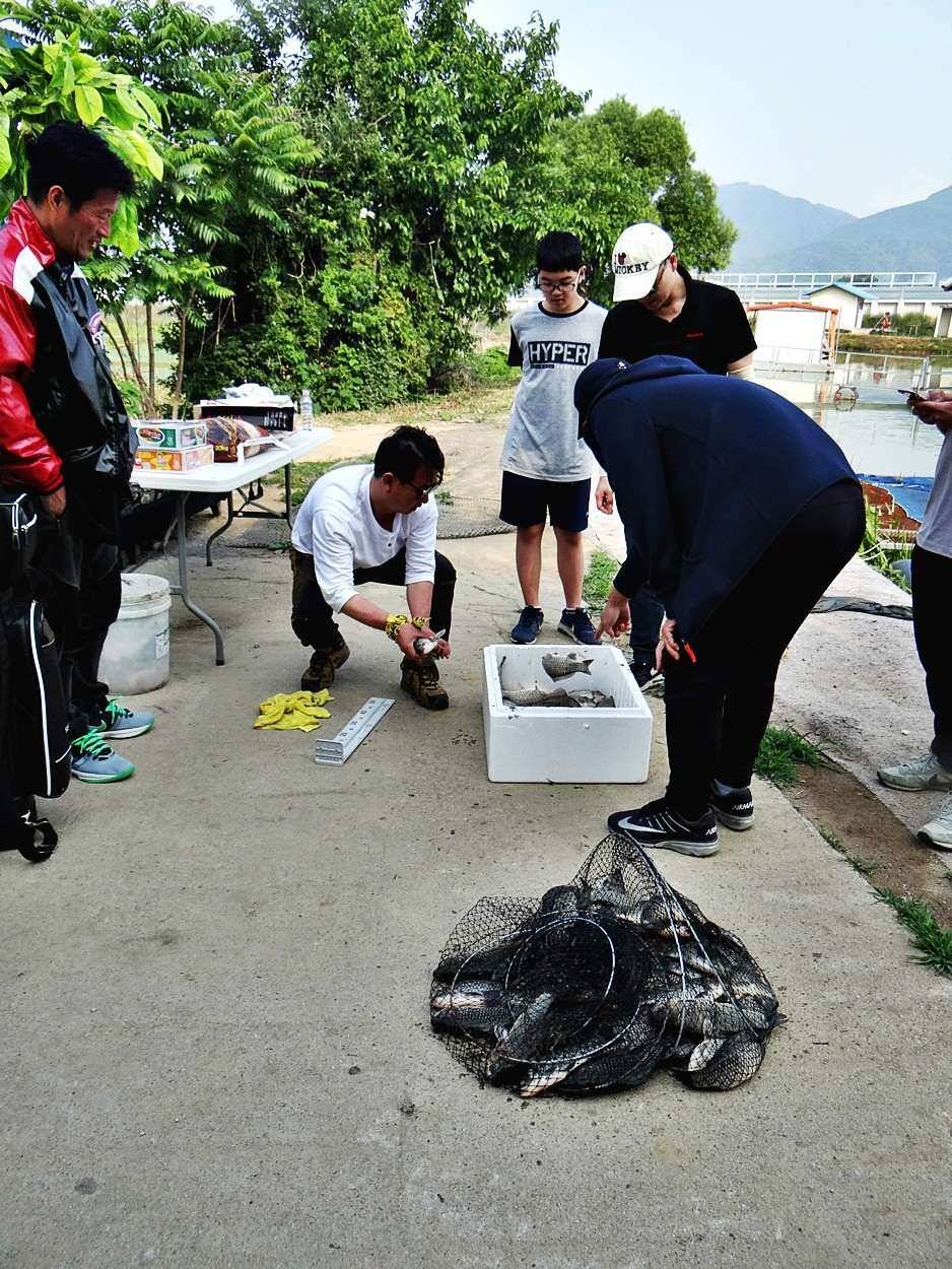 경기도 포천 쌍방죽낚시터 6월 세째주 주말소식 (유료터정보 - 유료터점주조황)