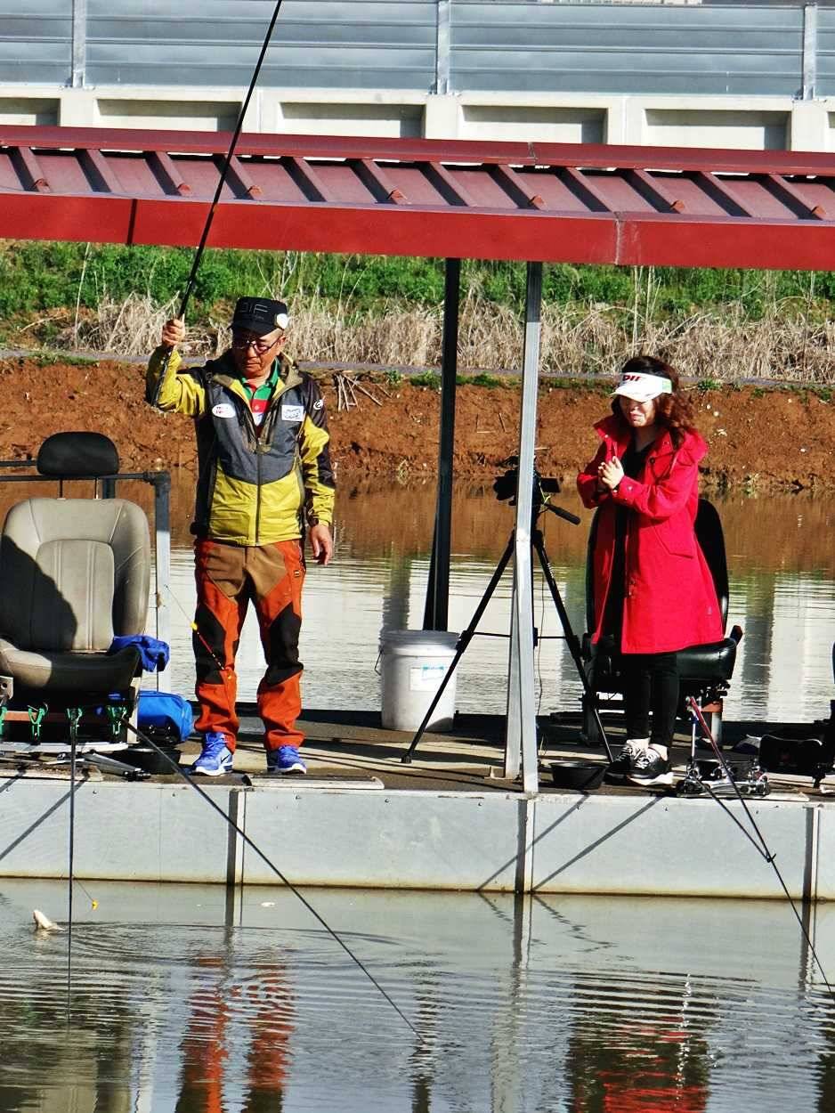 경기도 포천 쌍방죽낚시터 수목요일41920소식쌍박죽 (유료터정보 - 유료터점주조황)