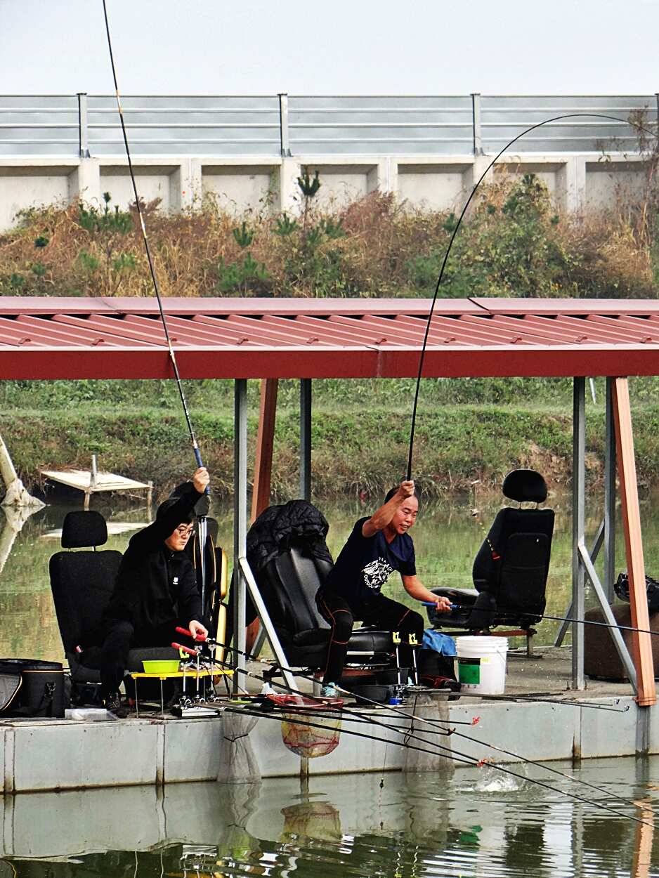포천 쌍방죽낚시터 10월 13일 소식 (유료터정보 - 유료터점주조황)