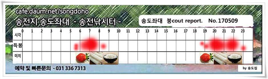 송전지 송도좌대 조황 (유료터정보 - 유료터점주조황)