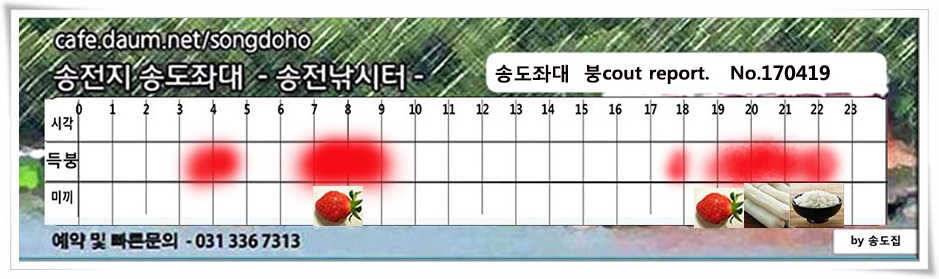 송전지 송도 좌대 조황 (유료터정보 - 유료터점주조황)