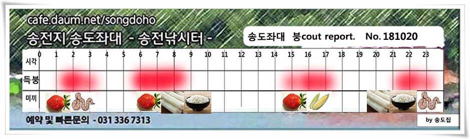 이어진 허리급 송전지 송도좌대 조황 (유료터정보 - 유료터점주조황)