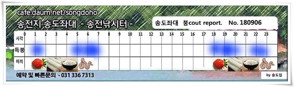 가을 앞 송도좌대 조황 (유료터정보 - 유료터점주조황)