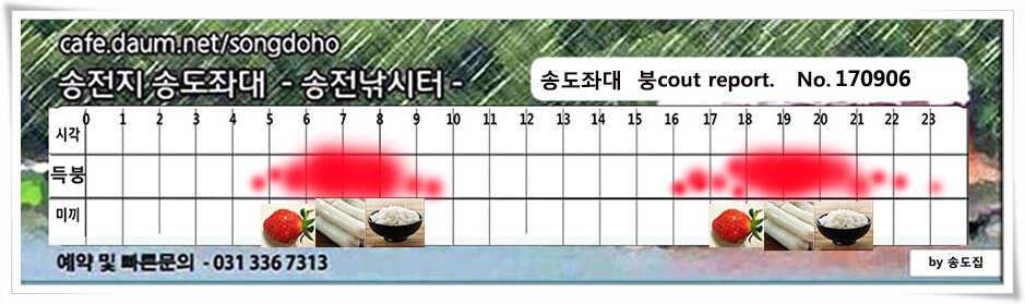 송전지 송도집 좌대 조황 (유료터정보 - 유료터점주조황)