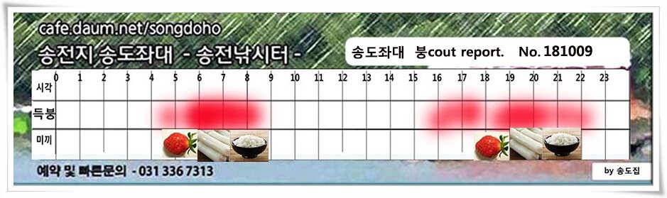 이어진 오름장 (유료터정보 - 유료터점주조황)