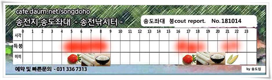 한 수 노리기 시전하는 김사장 (유료터정보 - 유료터점주조황)