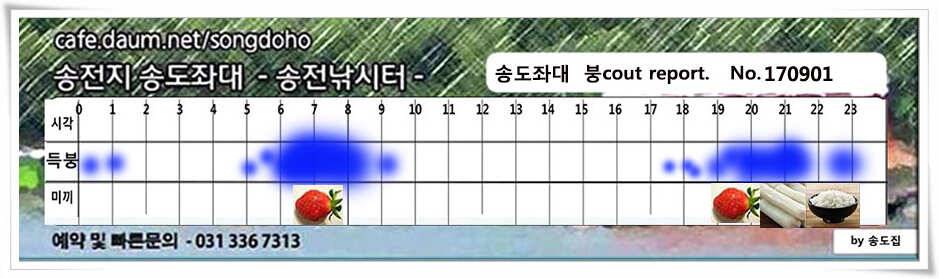 415cm 송전지 송도집 좌대 조황 (유료터정보 - 유료터점주조황)
