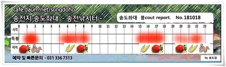 대물붕어 꼬시기송전지 송도집 조황 (유료터정보 - 유료터점주조황)