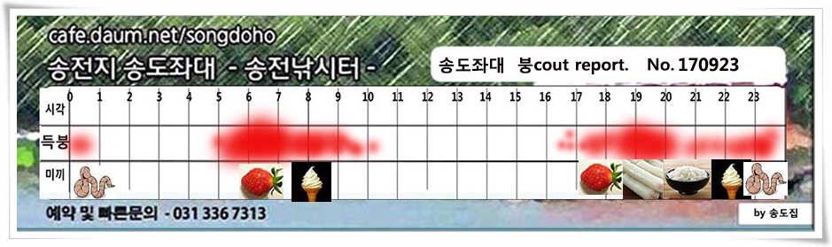 포인트 변경 후송전지 송도 좌대 조황 (유료터정보 - 유료터점주조황)
