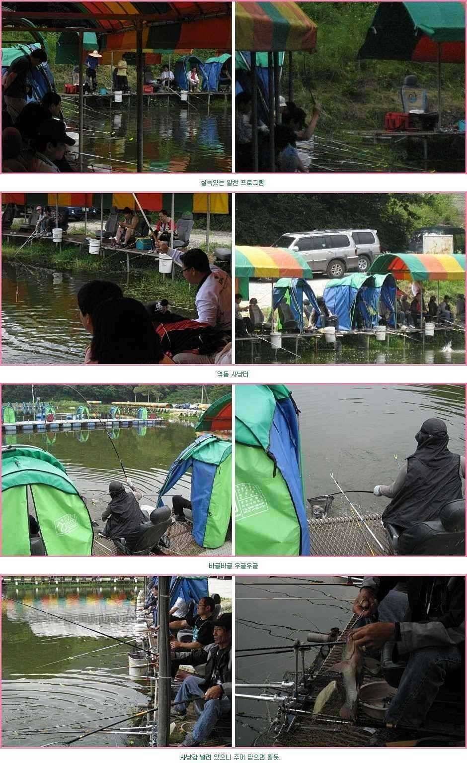 맛난 미끼와 구라로 (유료터정보 - 유료터점주조황)