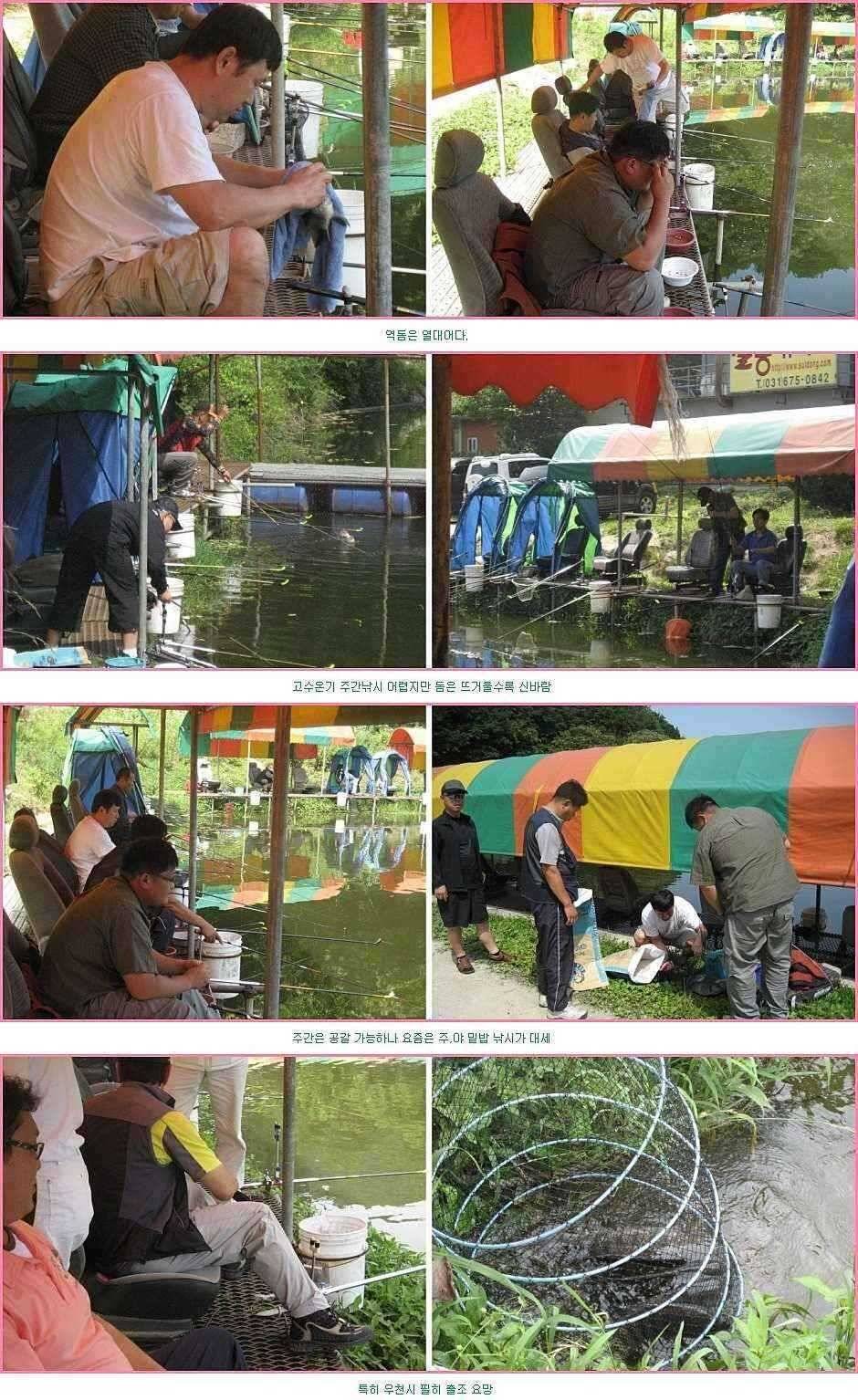 우쭐우쭐 (유료터정보 - 유료터점주조황)