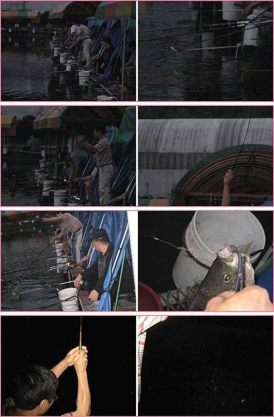장난꾸러기 악동惡童 or 선동善童 (유료터정보 - 유료터점주조황)