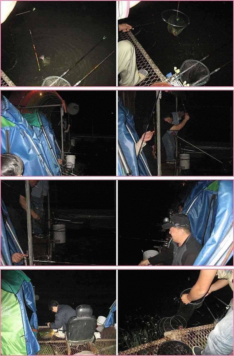 장난꾸러기 악동惡童 or 선동善童 (유료터정보 - 유료터점주조황)