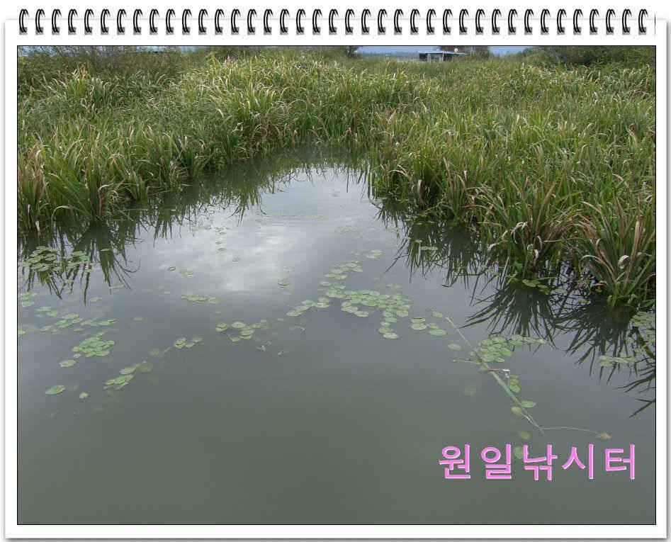 가을낚시의 시작입니다 (유료터정보 - 유료터점주조황)