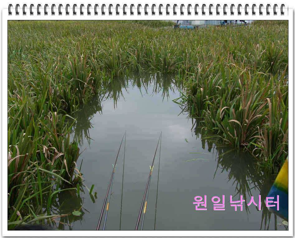 가을낚시의 시작입니다 (유료터정보 - 유료터점주조황)