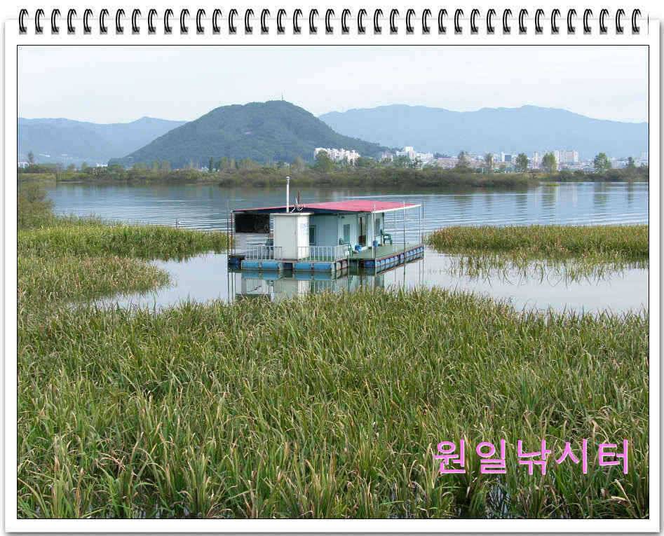 가을낚시의 시작입니다 (유료터정보 - 유료터점주조황)