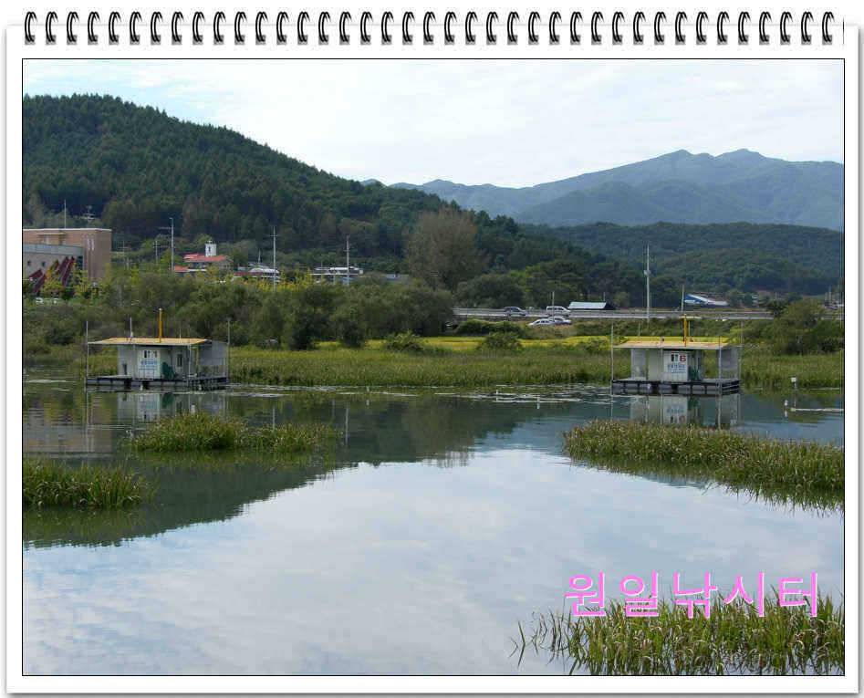 가을낚시의 시작입니다 (유료터정보 - 유료터점주조황)