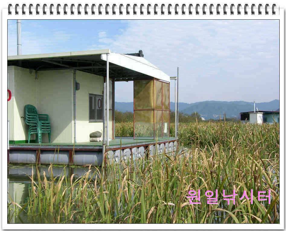 가을낚시의 시작입니다 (유료터정보 - 유료터점주조황)