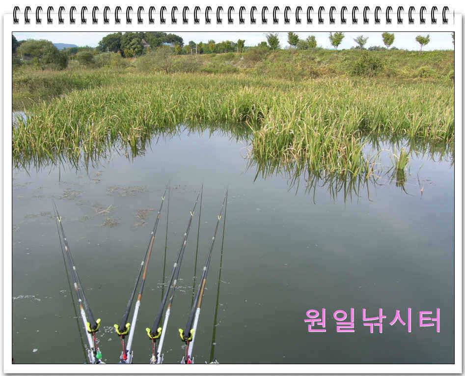 가을낚시의 시작입니다 (유료터정보 - 유료터점주조황)