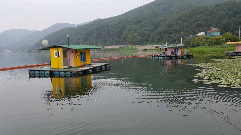 붕어 (유료터정보 - 유료터점주조황)