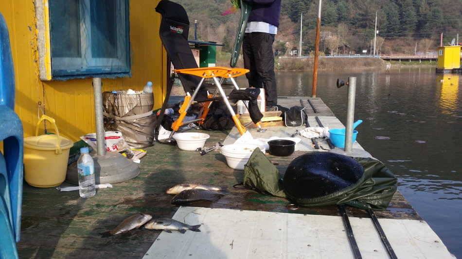 의암호 광명원일월척낚시터 정상영업합니다 (유료터정보 - 유료터점주조황)
