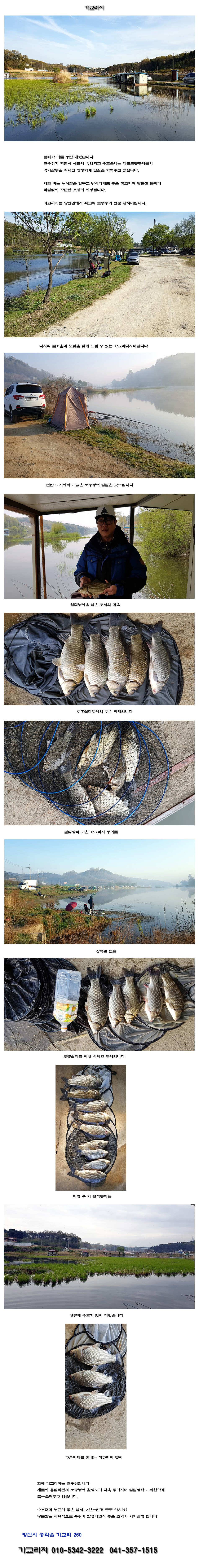 봄비가 약비가 되어 (유료터정보 - 유료터점주조황)