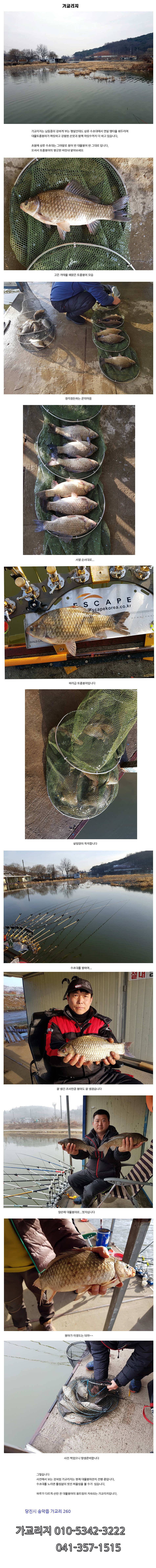 매일매일 터지고 있습니다 (유료터정보 - 유료터점주조황)