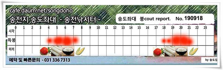 전투배치 (유료터정보 - 유료터점주조황)