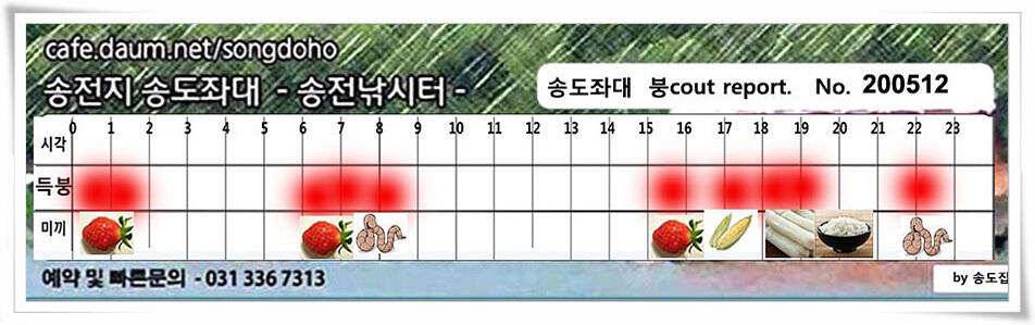 송전지 송전낚시터 송도집 좌대 조황 (유료터정보 - 유료터점주조황)
