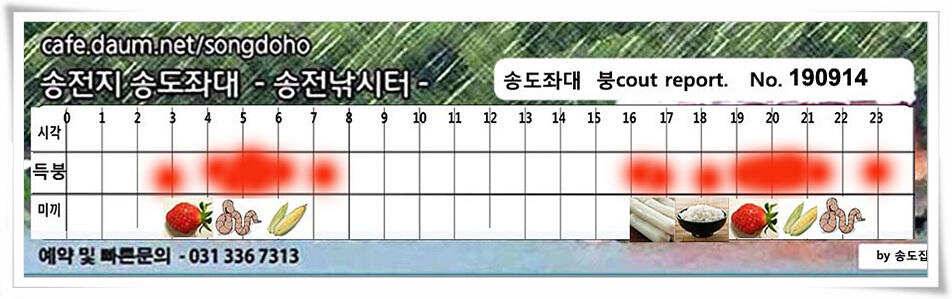 가을 덩어리 낚기 (유료터정보 - 유료터점주조황)