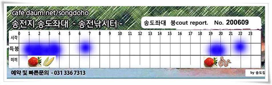 송전지 송도좌대 조황 (유료터정보 - 유료터점주조황)