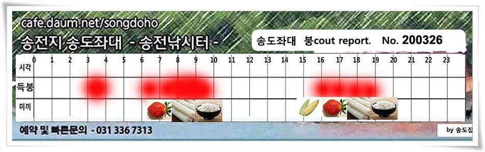 산란 송전지 송도좌대 조황 (유료터정보 - 유료터점주조황)
