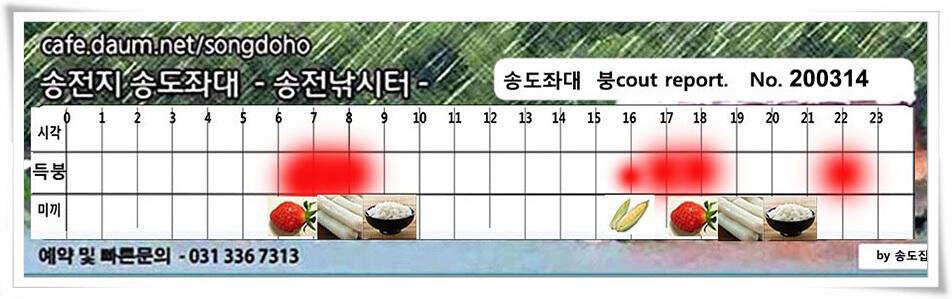 송전지 송도집 좌대 조황 (유료터정보 - 유료터점주조황)