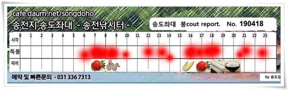 꽃피는 봄이 오면 (유료터정보 - 유료터점주조황)