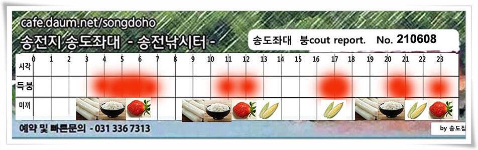 송전지 송전낚시터 송도좌대 조황 (유료터정보 - 유료터점주조황)