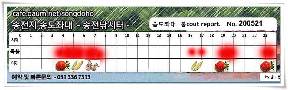 마릿수 보인 송전지 송도좌대 조황 (유료터정보 - 유료터점주조황)