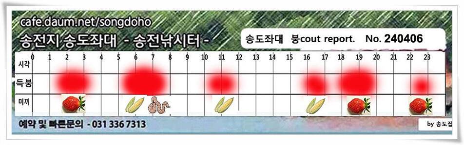 덩어리의 산란 (유료터정보 - 유료터점주조황)