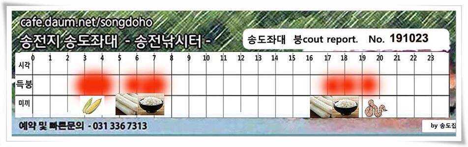 송전지 송전낚시터 송도좌대 조황 (유료터정보 - 유료터점주조황)