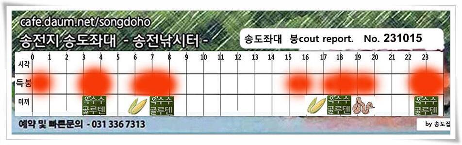 4짜 혹은 마릿수 (유료터정보 - 유료터점주조황)