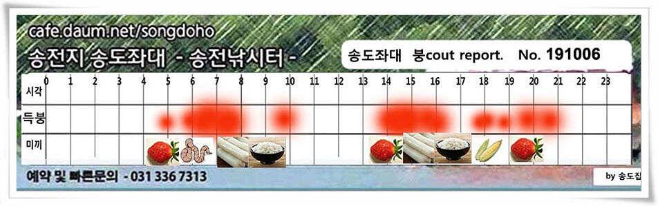 태풍 후 안정세 (유료터정보 - 유료터점주조황)