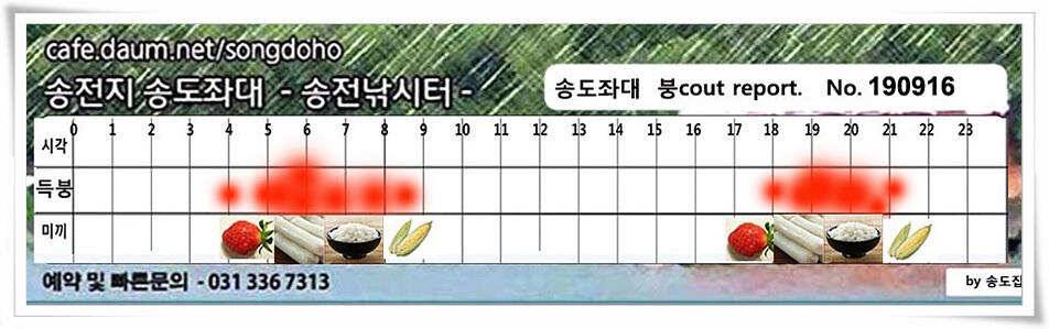 연휴 끝에 가을 볕 (유료터정보 - 유료터점주조황)