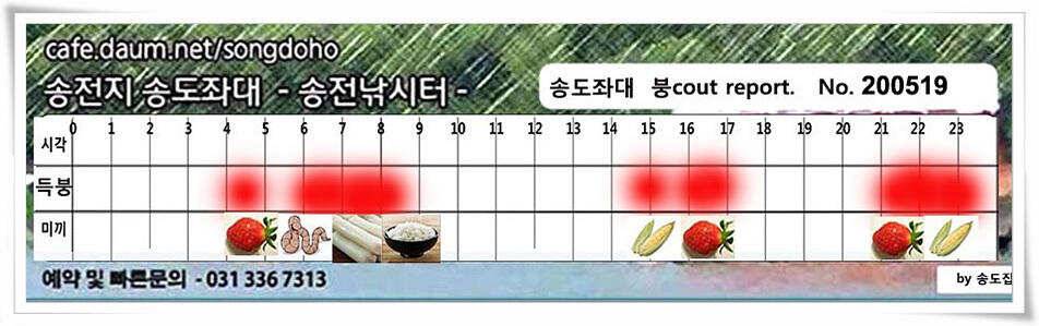 잇는 허리급송전지 송도좌대 조황 (유료터정보 - 유료터점주조황)