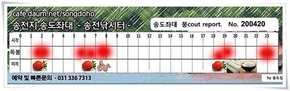송전지 송전낚시터 송도좌대 조황 (유료터정보 - 유료터점주조황)