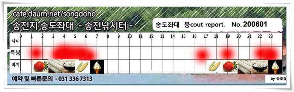 송전지 송전낚시터 송도좌대 조황 (유료터정보 - 유료터점주조황)
