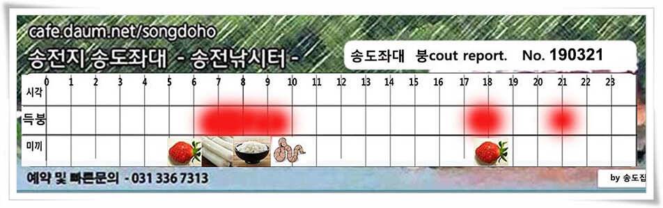 송전지 송도좌대 조황 (유료터정보 - 유료터점주조황)