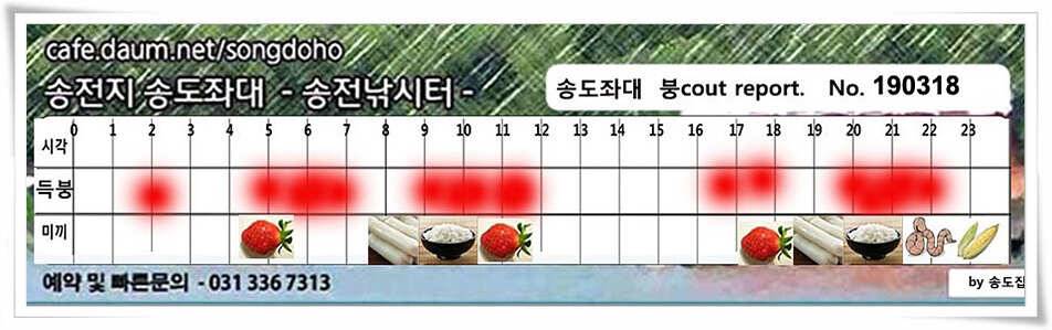 송전지 송도좌대 조황 (유료터정보 - 유료터점주조황)