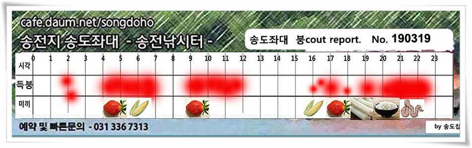 송전지 송도좌대 조황 (유료터정보 - 유료터점주조황)